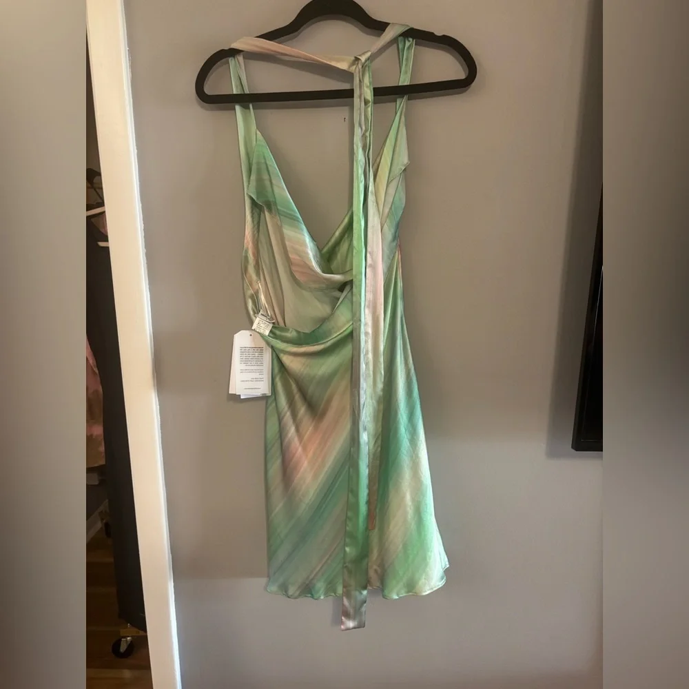 Silk Roads by Adriana Iglesias Esther Dress in Space Silk Size Large NWT - Picture 7 of 8